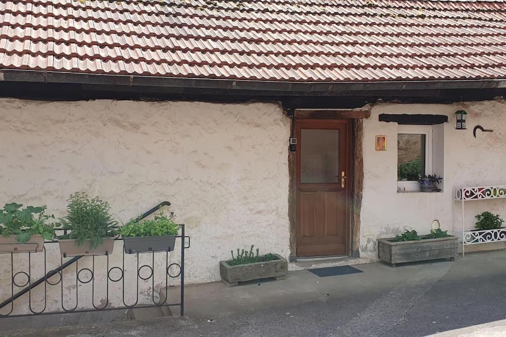 Vila Le Berger Du Salzbach Romanswiller Exteriér fotografie